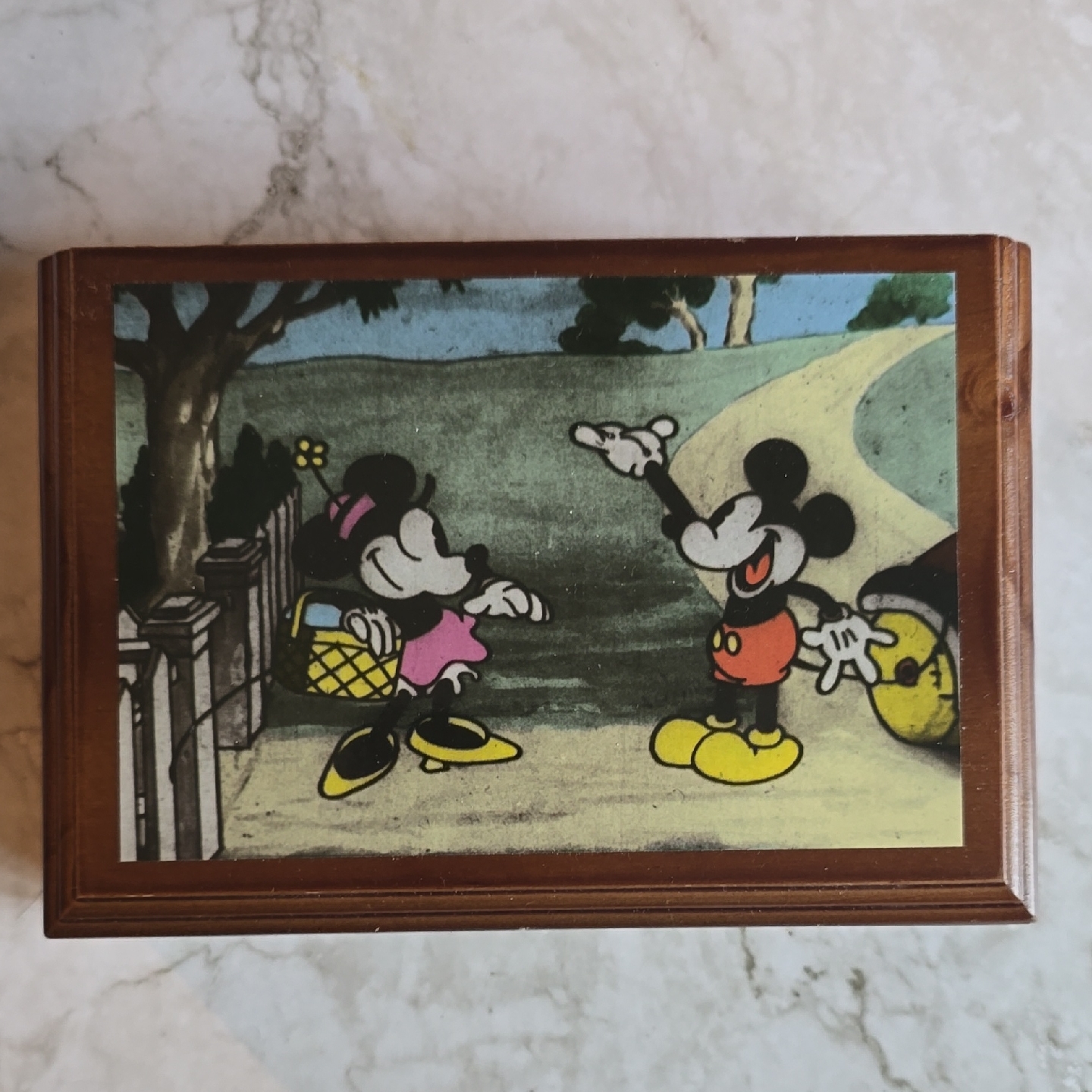 Mickey & Minnie Limited Edition Watch Collectors Club Disney X Fossil